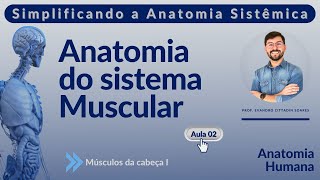 Sistema muscular - Aula 02 - Músculos da cabeça I