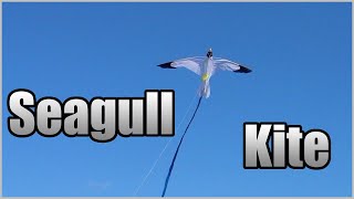 Brookite - Seagull kite