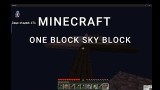 Minecraft One block sky block!