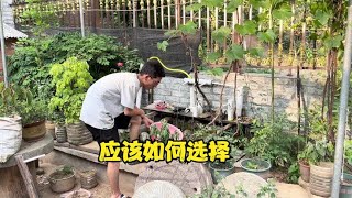 第106集：改造山洞说不务正业，改造老房子是不是正事，你怎么看