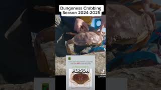 🦀Make sure to follow the rules for this Dungeness crabbing season!#dungenesscrab #fishing