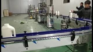 Automatic 1L detergent liquid bottle pail bucket filling capping machine labeling machine