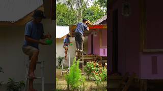 CAT RUMAH PONDOK YANG ADA DI TENGAH PERKEBUNAN