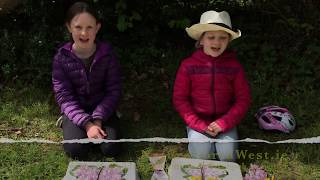 How to make a butterfly in your garden