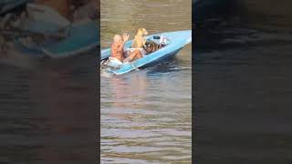 Dog driving a boat is this Florida mans designated driver