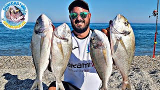 🔥PESQUERONN🔥DORADAS A SURFCASTING...PESCANDO FINO, TREMENDO DIA DE PESCA 💯SURFCASTING GRANADA💯