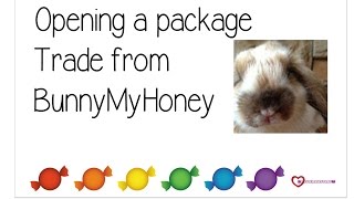 Opening a Package Trade from BunnyMyHoney