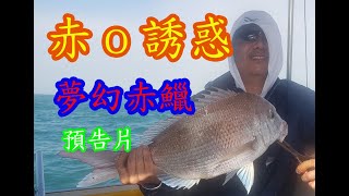 【香港釣魚】《赤o誘惑 夢幻赤鱲預告片》