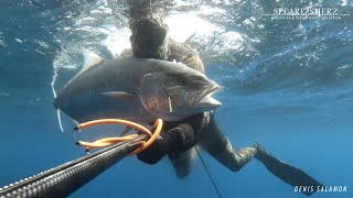 Malta Deep Spearfishing - Amberjack 27kg - Denis Salamon | SPEARFISHERZ | 2.7K