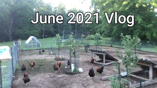 June 2021 Vlog