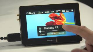 Blackmagic Design Video Assist with new firmware 1.1 review