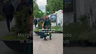 Un elf in Romania