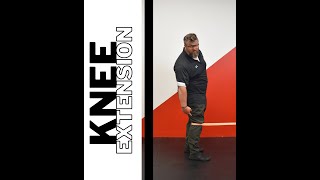 Banded - Knee Extension A DIFFERENT KIND OF KNEE EXERCISE