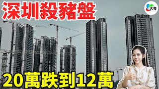 爆大鑊！蝕咗957萬！深圳灣呢個“妖盤”，都托唔住啦！狂燒千萬打水漂，間屋已經變成咗負資產！成個樓市寒意十足！炒家排隊打靶架正式開始！