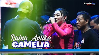 CAMELIA -  RATNA ANTIKA