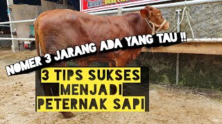 UPDATE HARGA TERBARU - SIMAK 3 TIPS SUKSES MENJADI PETERNAK !!