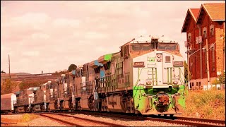 Composição com vagões lonados da Suzano, uma bela formação com seis locomotivas.