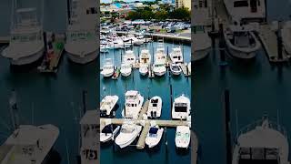 #belmar #sailing #drone #marina #jerseyshore #jsmemories