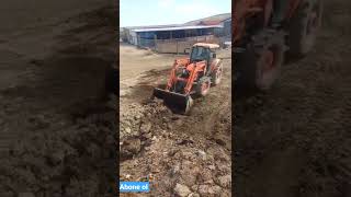 Kubota M9540 ile gübre yükleme | manure loading with kubota M9540 #shorts #agriculture #farming