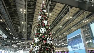 CHRISTMAS TREE PATTAYA AIRPORT  THAILAND 2023