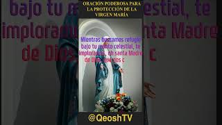 ORACIÓN PODEROSA PARA LA PROTECCIÓN DE LA VIRGEN MARÍA