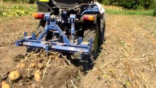 Выкопка картофеля / Mini tractor digging potatoes