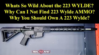 Whats So Wild About the 223 WYLDE,  I Cannot Not Find 223 Wylde AMMO and Should You Own A 223 Wylde?