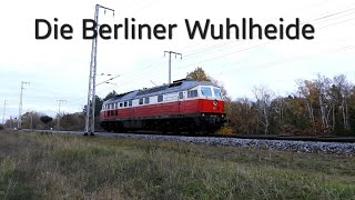 Der Herbst in der  Berliner Wuhlheide