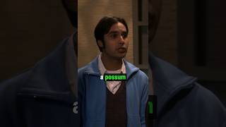 Raj - A possum | TBBT S10E10 #shorts