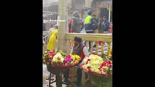 Banke Bihari Temple - Vrindavan