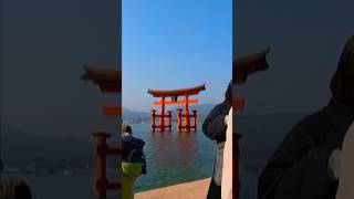 Welcome to Miyajima Island in Japan! #360video #japaneseculture