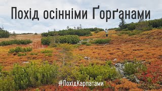 Осінніми Ґорґанами з нашою Командою Патреону. Дводенний похід Карпатами