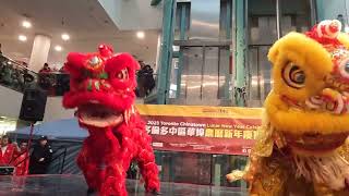 Lion dance Lunar New Year Toronto Chinatown  [4k]  #liondance #lunarnewyear