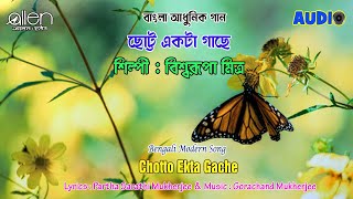 Chotto Ekta Gache | Biswarupa Mitra | Bengali Modern Song