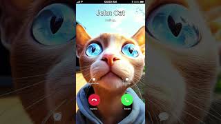 John Cat 🐯 is Calling