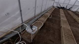 Negative six degrees greenhouse update video for February 2019