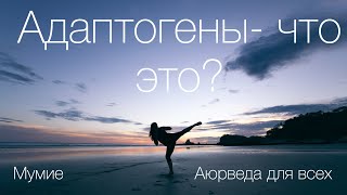 Адаптогены. Мумие. Аюрведа для начинающих.