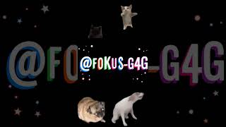 Und ein edit für @Fokus-g4g