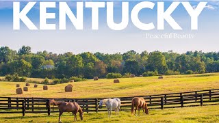 Kentucky Chronicles | Discovering the Bluegrass State's Allure