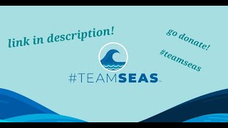 Go donate! (1 dollar = 1 pound of trash from the ocean!) #teamseas