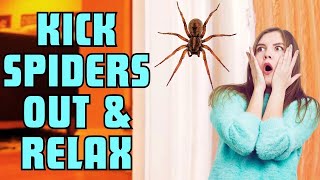 How to Get Rid of Spiders At Home (Easy Proven Results)