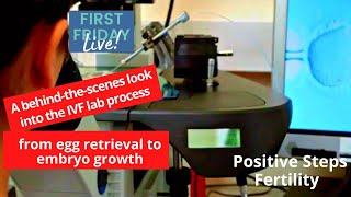 A Step-by-Step Look at the IVF Lab Process: from egg retrieval to embryo growth