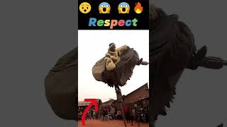 Amazing Respect video #shortvideo #respect #viral #trending