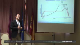 Diferencias culturales en la Dirección de Proyectos