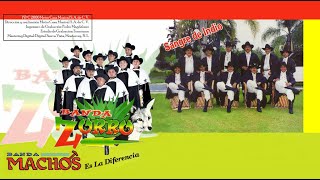 Bandas Zorro  y La Machos .... Sus Temas Inolvidables....