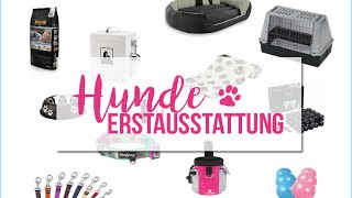 Unsere Welpen 🐶 Erstausstattung