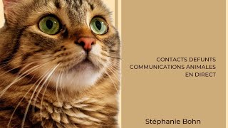 CONTACTS DEFUNTS: Communications Animales en Direct