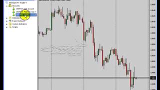 Forex MetaTrader 4 Platform Part 11   Forex Indicators   Forex Education   Learn Forex