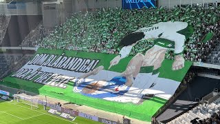 Djurgården - Hammarby (0:3) 2024 TIFO