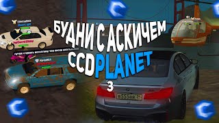 СМЕШНЫЕ МОМЕНТЫ НА МТА ССДПЛАНЕТ! БУДНИ С АСКИЧЕМ #3 MTA CCDPLANET